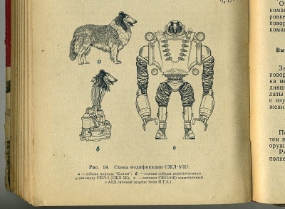 כלב רובוט